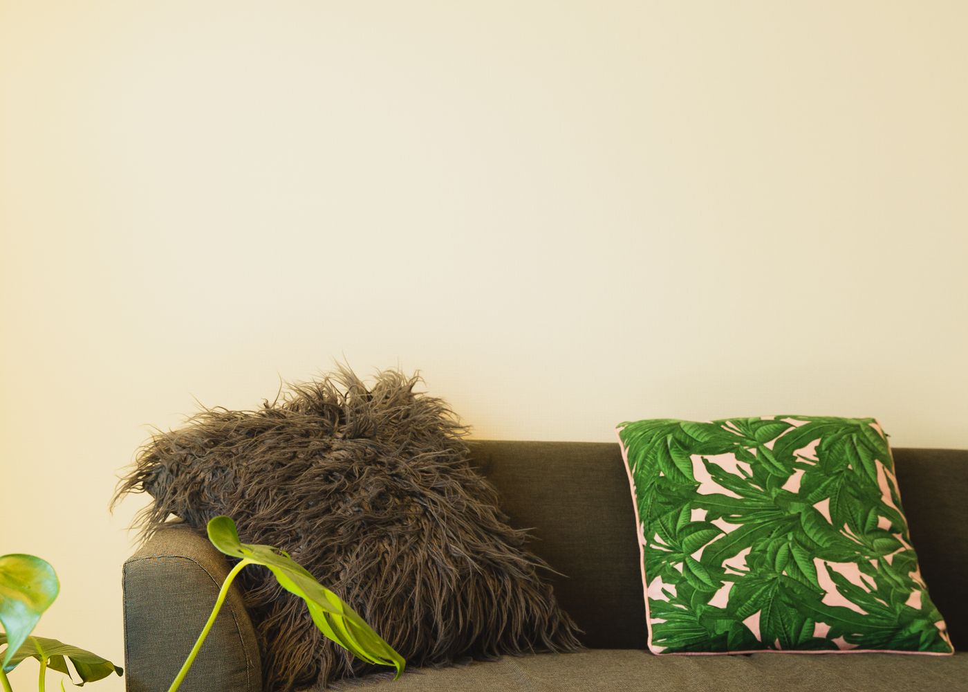Detalhes de decoração com plantas e texturas naturais